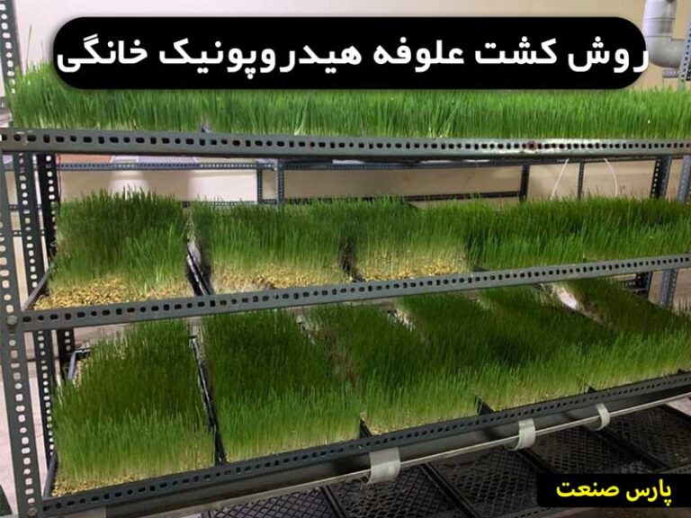 علوفه هیدروپونیک خانگی