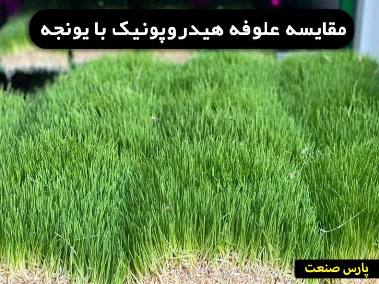 مقایسه علوفه هیدروپونیک با یونجه