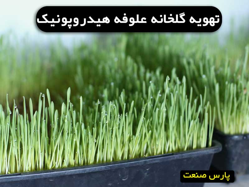 تهویه گلخانه علوفه هیدروپونیک