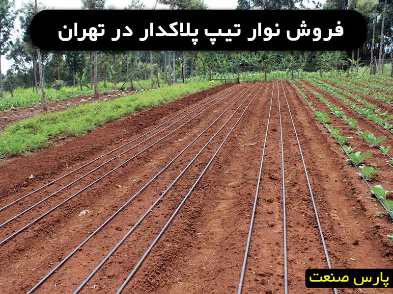 نوار تیپ پلاکدار در تهران