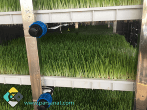 آبیاری علوفه هیدروپونیک