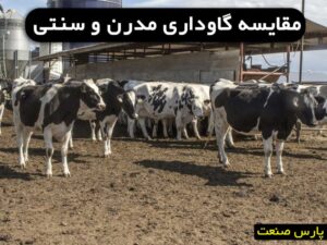مقایسه گاوداری مدرن با سنتی