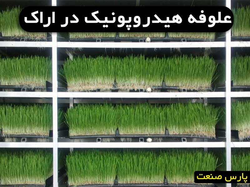 علوفه هیدروپونیک در اراک