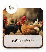 تصویرر دستگاه مه پاش مرغداری