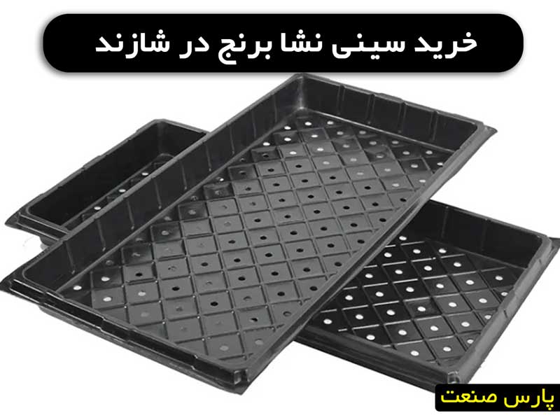 خرید سینی نشا برنج در شازند