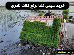 خرید سینی نشا برنج کلات نادری