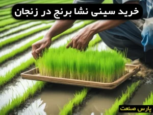 خرید سینی نشا برنج در زنجان