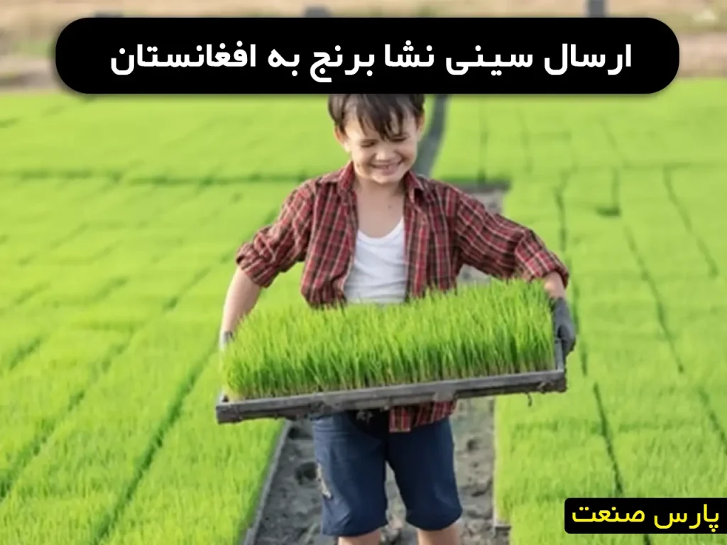 صادرات سینی نشا برنج به افغانستان[هرات،قندوز،کابل]