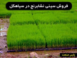 خرید سینی نشابرنج سیاهکل