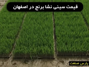 قیمت سینی نشا برنج در اصفهان