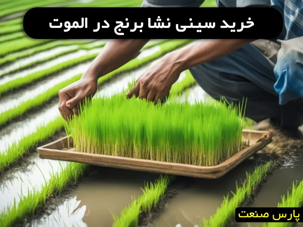 خرید سینی نشا برنج در الموت