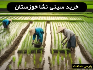 خرید سینی نشا برنج خوزستان