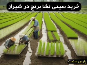 خرید سینی نشا برنج در شیراز