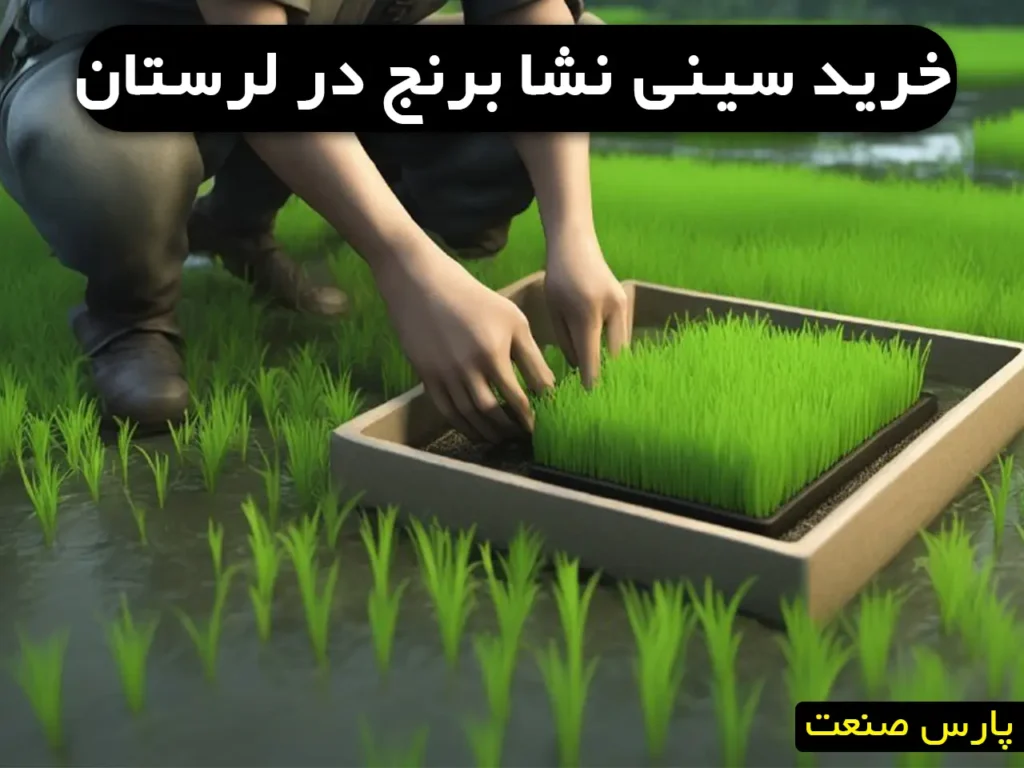خرید سینی نشا برنج در لرستان