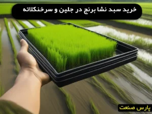 خرید سینی نشا برنج در جلین و سرخنکلاته