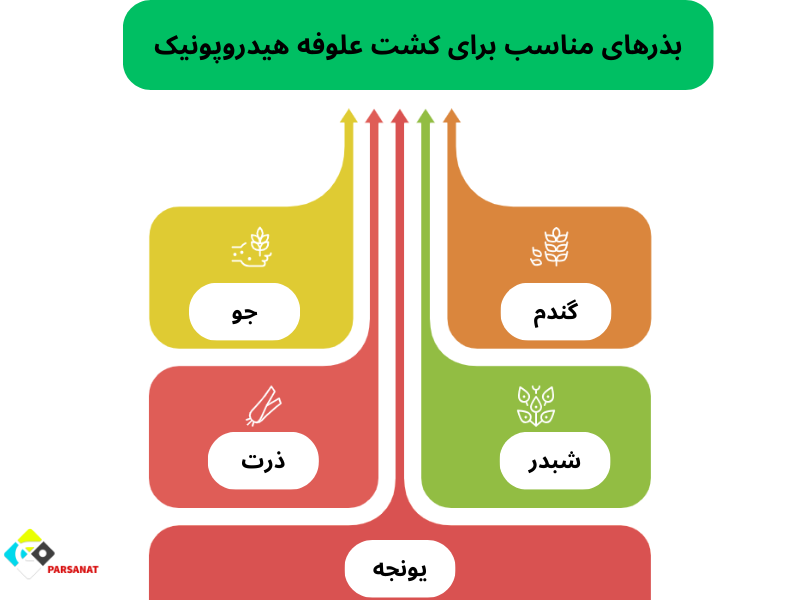 بذرهای مناسب برای کشت علوفه هیدروپونیک