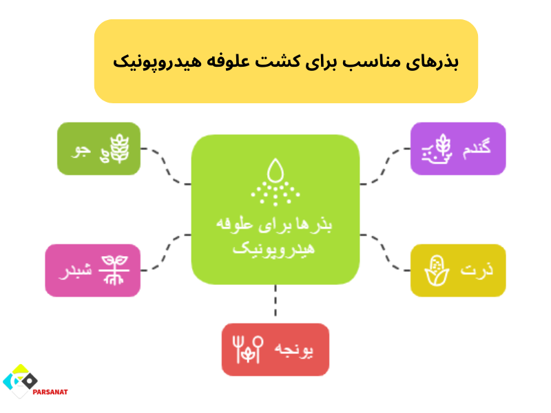 بذرهای مناسب برای کشت علوفه هیدروپونیک