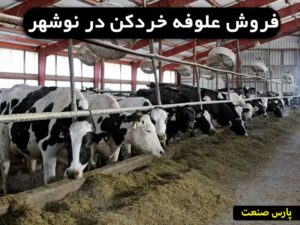 علوفه خوردکن نوشهر