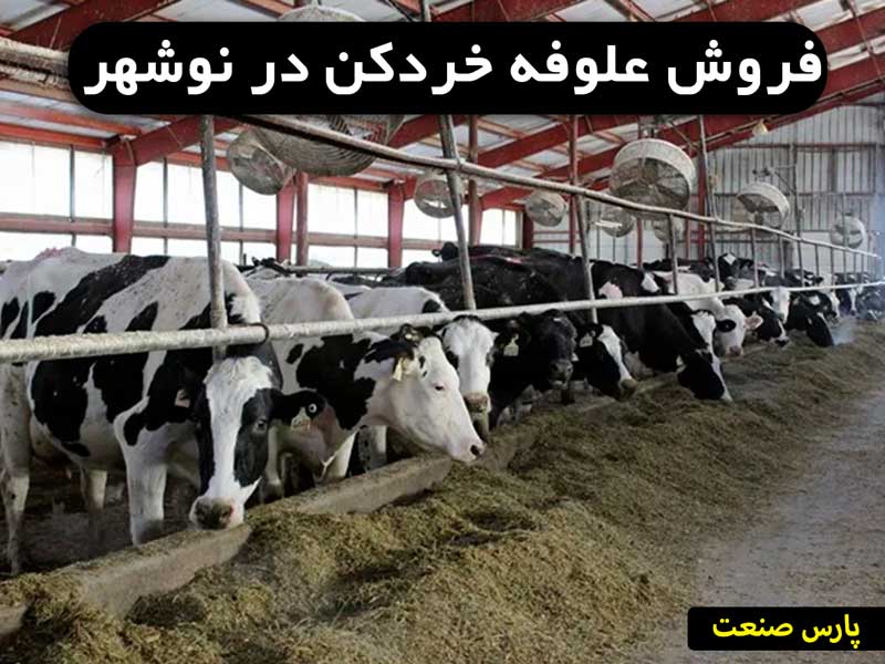 علوفه خوردکن نوشهر