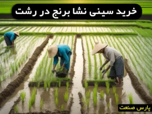 خرید سینی نشا برنج در رشت