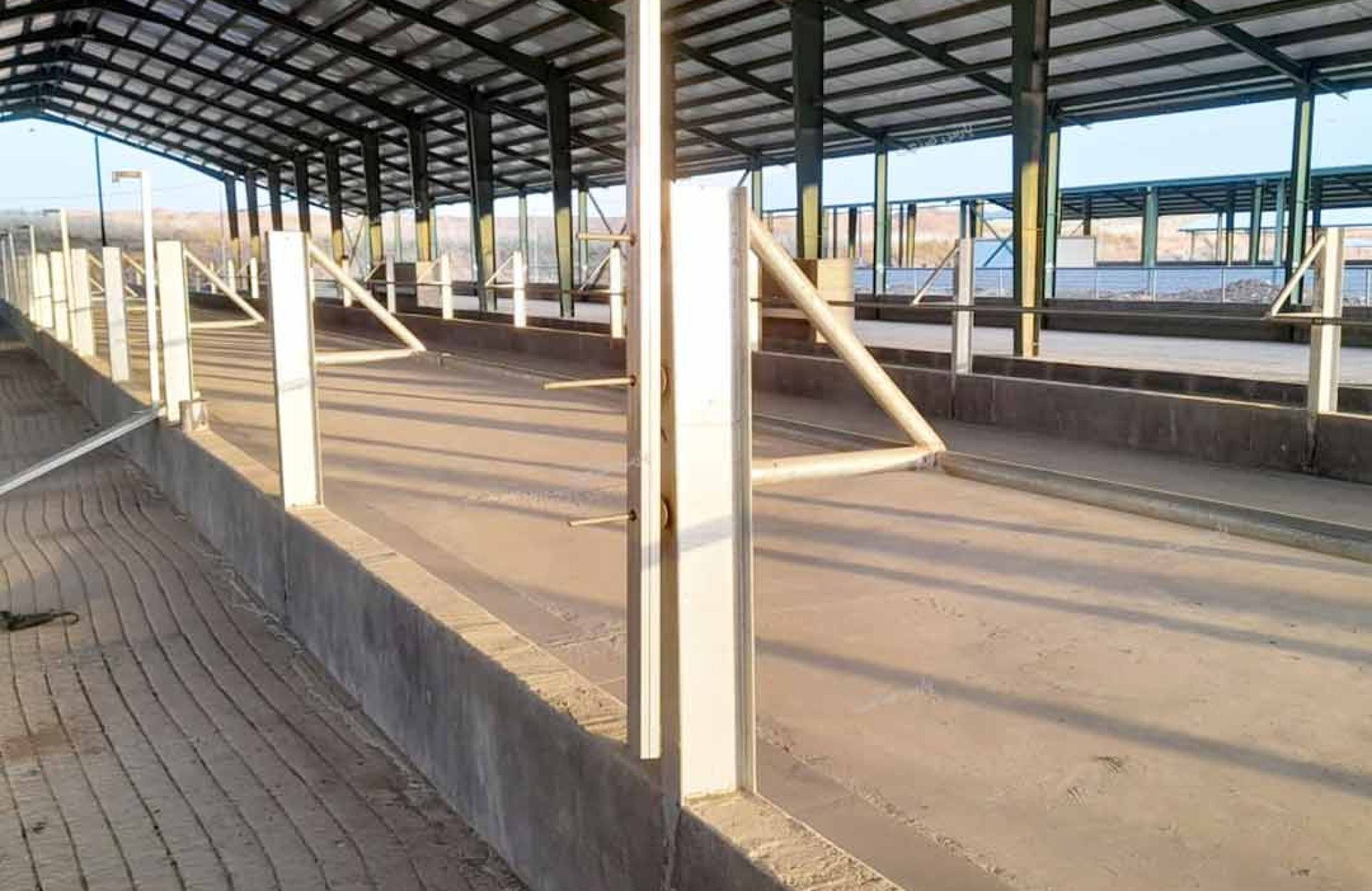 پروژه نصب سیستم خنک کننده آخور تلیسه در زایشگاه (بیمارستان ) در دامداری شرکت مالات اقلیم کردستان شهر سلیمانیه