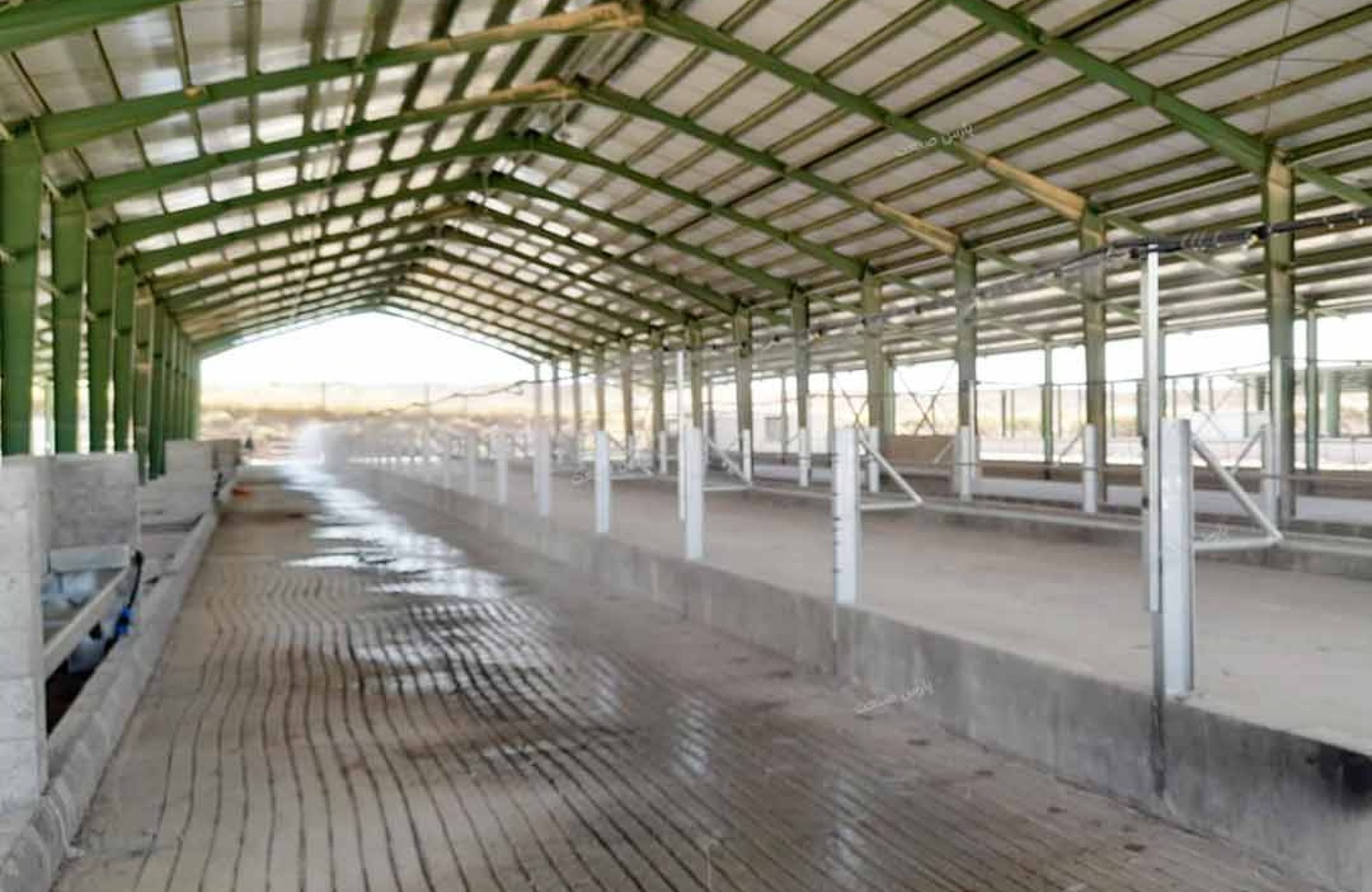 پروژه نصب سیستم خنک کننده آخور تلیسه در زایشگاه (بیمارستان ) در دامداری شرکت مالات اقلیم کردستان شهر سلیمانیه